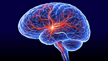 NEURORADIOLOGIA I - Entomografia
