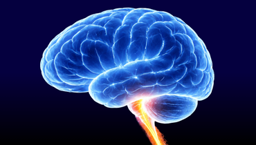 Neuroradiologia IV - Entomografia