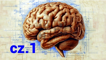 WYBRANE ZAGADNIENIA Z NEURORADIOLOGII - cz. I - Entomografia